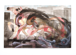 Portfolio Luca Hofmann